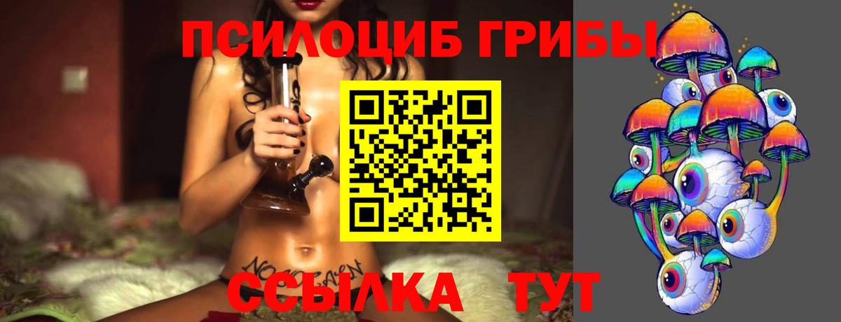 Галлюциногенные грибы Psilocybine cubensis Балашов